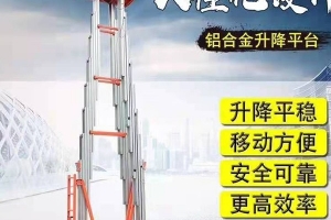 江陰雙桅鋁合金升降機(jī)   生產(chǎn)廠家